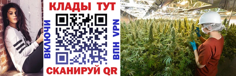 Купить закладку Каннабис  Alpha PVP  Гашиш  Меф  КОКАИН  Поворино