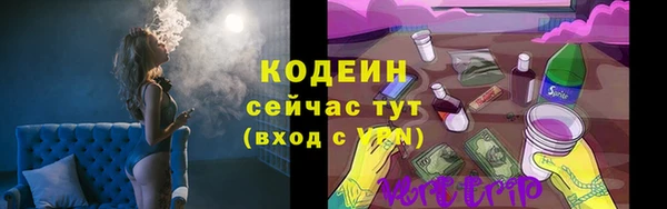 тгк Семёнов