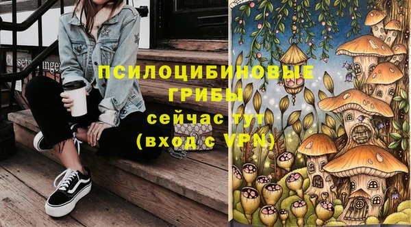 гидра Семикаракорск