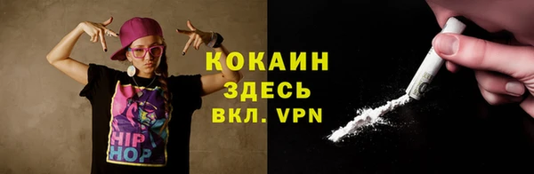 тгк Семёнов