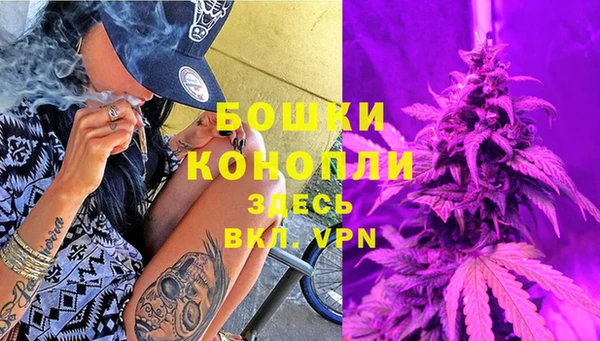 тгк Семёнов