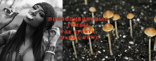 гидра Семикаракорск