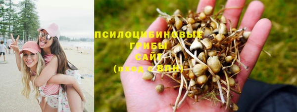тгк Семёнов